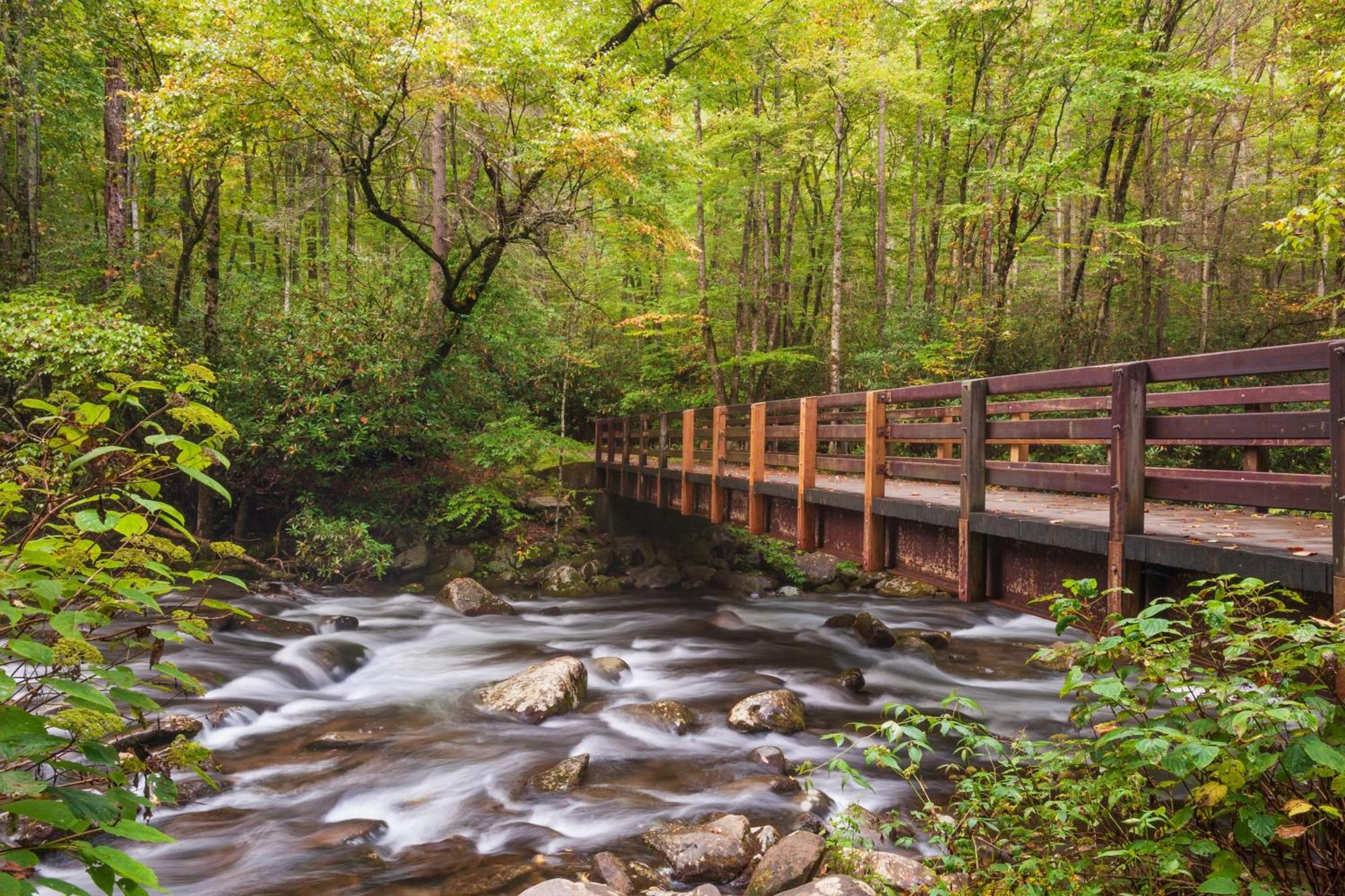 The Cozy Cove, Hot Tub, Wifi, 1089 Free Tickets Each Paid Day, Dollywood And More Sevierville Exterior foto